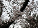 07.04.01_sakatu01.jpg