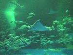 07.08.11_aquas01.jpg
